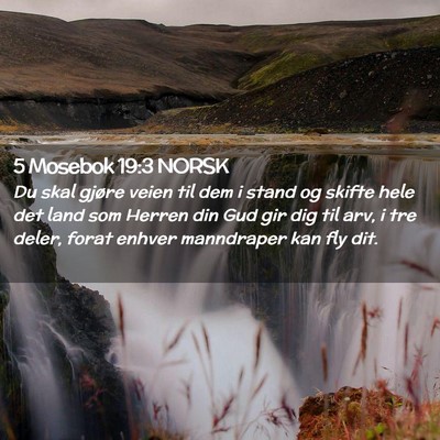 Picture 02 - 5 Mosebok 19:3 NORSK - Du skal gjøre veien til dem i stand og skifte - Bible Verse Picture