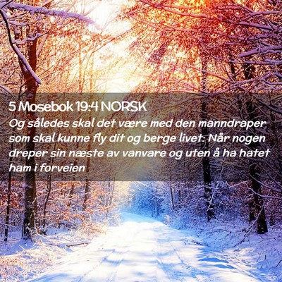 Picture 02 - 5 Mosebok 19:4 NORSK - Og således skal det være med den manndraper som - Bible Verse Picture