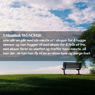 Picture 02 - 5 Mosebok 19:5 NORSK - som når en går med sin næste ut i skogen for - Bible Verse Picture