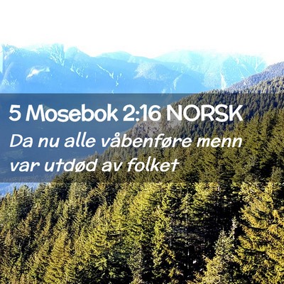 Picture 02 - 5 Mosebok 2:16 NORSK - Da nu alle våbenføre menn var utdød av - Bible Verse Picture