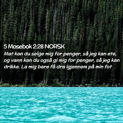 Picture 02 - 5 Mosebok 2:28 NORSK - Mat kan du selge mig for penger, så jeg kan ete, - Bible Verse Picture