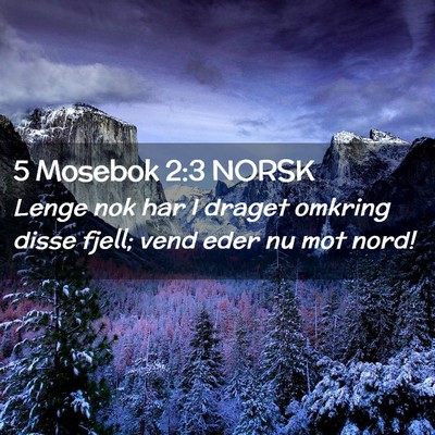 Picture 02 - 5 Mosebok 2:3 NORSK - Lenge nok har I draget omkring disse fjell; vend - Bible Verse Picture