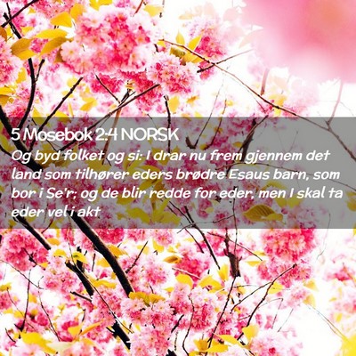 Picture 02 - 5 Mosebok 2:4 NORSK - Og byd folket og si: I drar nu frem gjennem det - Bible Verse Picture