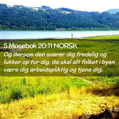 Picture 02 - 5 Mosebok 20:11 NORSK - Og dersom den svarer dig fredelig og lukker op - Bible Verse Picture