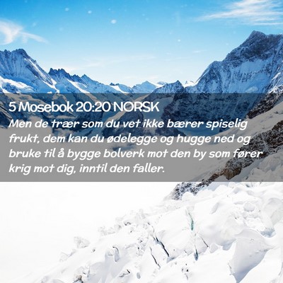 Picture 02 - 5 Mosebok 20:20 NORSK - Men de trær som du vet ikke bærer spiselig - Bible Verse Picture