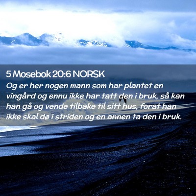 Picture 02 - 5 Mosebok 20:6 NORSK - Og er her nogen mann som har plantet en vingård - Bible Verse Picture