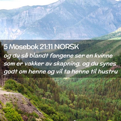Picture 02 - 5 Mosebok 21:11 NORSK - og du så blandt fangene ser en kvinne som er - Bible Verse Picture