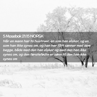 Picture 02 - 5 Mosebok 21:15 NORSK - Når en mann har to hustruer, en som han elsker, - Bible Verse Picture