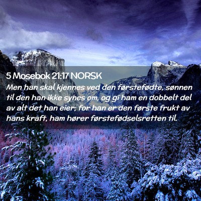 Picture 02 - 5 Mosebok 21:17 NORSK - Men han skal kjennes ved den førstefødte, - Bible Verse Picture
