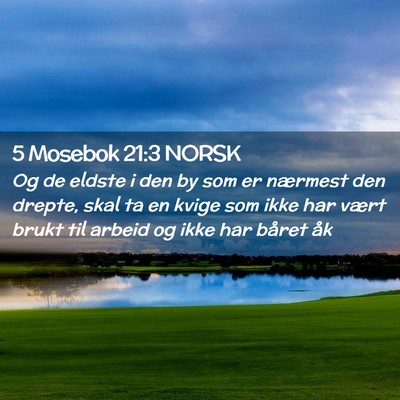Picture 02 - 5 Mosebok 21:3 NORSK - Og de eldste i den by som er nærmest den drepte, - Bible Verse Picture