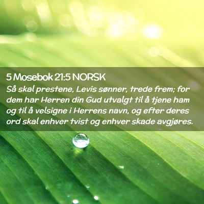 Picture 02 - 5 Mosebok 21:5 NORSK - Så skal prestene, Levis sønner, trede frem; for - Bible Verse Picture