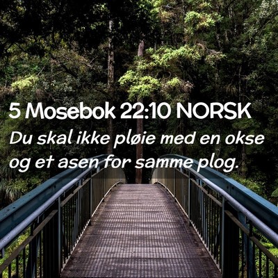 Picture 02 - 5 Mosebok 22:10 NORSK - Du skal ikke pløie med en okse og et asen for - Bible Verse Picture