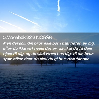 Picture 02 - 5 Mosebok 22:2 NORSK - Men dersom din bror ikke bor i nærheten av dig, - Bible Verse Picture