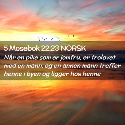 Picture 02 - 5 Mosebok 22:23 NORSK - Når en pike som er jomfru, er trolovet med en - Bible Verse Picture