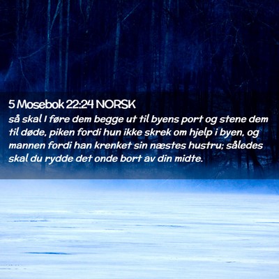 Picture 02 - 5 Mosebok 22:24 NORSK - så skal I føre dem begge ut til byens port og - Bible Verse Picture