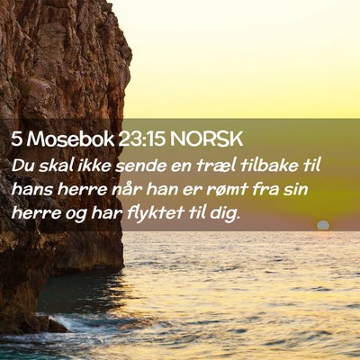 Picture 02 - 5 Mosebok 23:15 NORSK - Du skal ikke sende en træl tilbake til hans - Bible Verse Picture