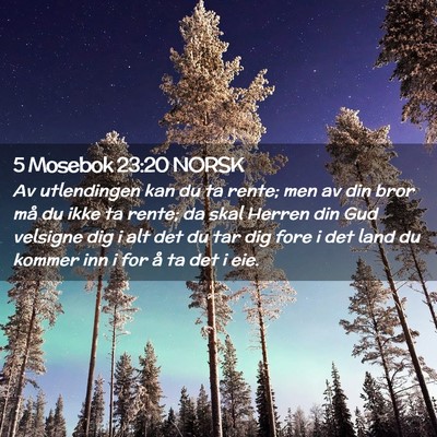 Picture 02 - 5 Mosebok 23:20 NORSK - Av utlendingen kan du ta rente; men av din bror - Bible Verse Picture