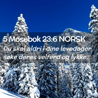 Picture 02 - 5 Mosebok 23:6 NORSK - Du skal aldri i dine levedager søke deres - Bible Verse Picture
