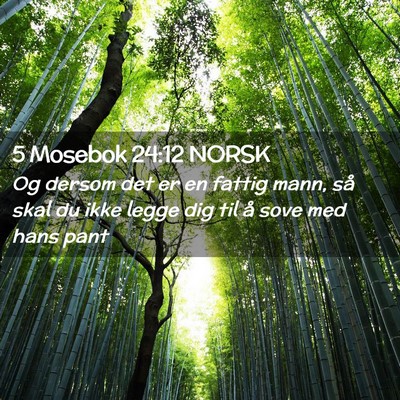 Picture 02 - 5 Mosebok 24:12 NORSK - Og dersom det er en fattig mann, så skal du ikke - Bible Verse Picture