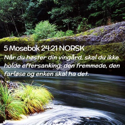 Picture 02 - 5 Mosebok 24:21 NORSK - Når du høster din vingård, skal du ikke holde - Bible Verse Picture