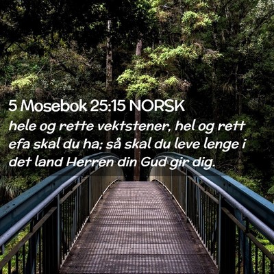 Picture 02 - 5 Mosebok 25:15 NORSK - hele og rette vektstener, hel og rett efa skal du - Bible Verse Picture