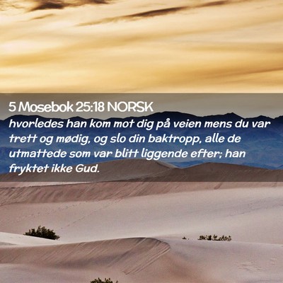 Picture 02 - 5 Mosebok 25:18 NORSK - hvorledes han kom mot dig på veien mens du var - Bible Verse Picture