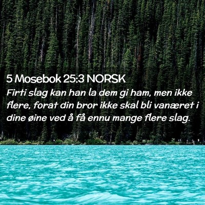 Picture 02 - 5 Mosebok 25:3 NORSK - Firti slag kan han la dem gi ham, men ikke flere, - Bible Verse Picture