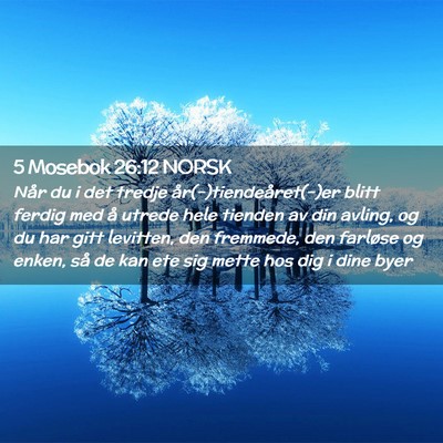 Picture 02 - 5 Mosebok 26:12 NORSK - Når du i det tredje år(-)tiendeåret(-)er blitt - Bible Verse Picture
