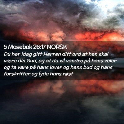 Picture 02 - 5 Mosebok 26:17 NORSK - Du har idag gitt Herren ditt ord at han skal - Bible Verse Picture