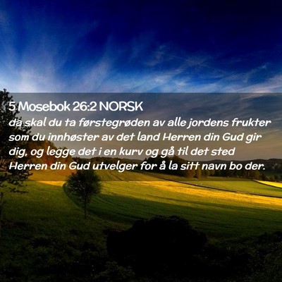 Picture 02 - 5 Mosebok 26:2 NORSK - da skal du ta førstegrøden av alle jordens - Bible Verse Picture