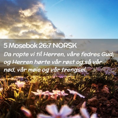 Picture 02 - 5 Mosebok 26:7 NORSK - Da ropte vi til Herren, våre fedres Gud; og - Bible Verse Picture