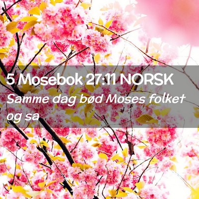 Picture 02 - 5 Mosebok 27:11 NORSK - Samme dag bød Moses folket og - Bible Verse Picture
