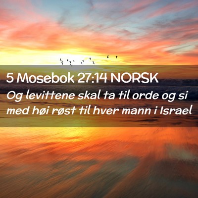 Picture 02 - 5 Mosebok 27:14 NORSK - Og levittene skal ta til orde og si med høi - Bible Verse Picture