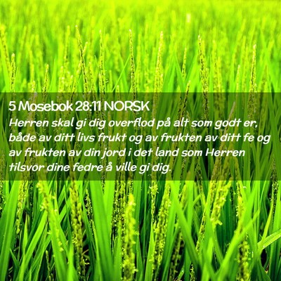 Picture 02 - 5 Mosebok 28:11 NORSK - Herren skal gi dig overflod på alt som godt er, - Bible Verse Picture