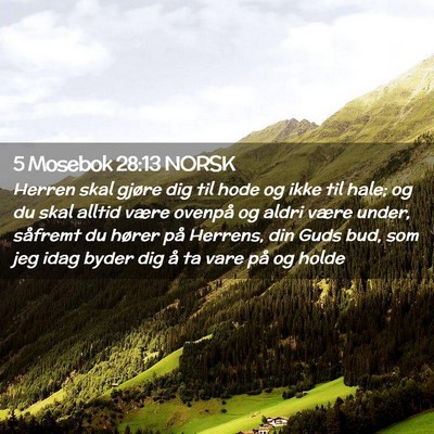 Picture 02 - 5 Mosebok 28:13 NORSK - Herren skal gjøre dig til hode og ikke til hale; - Bible Verse Picture