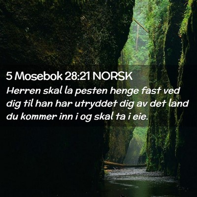 Picture 02 - 5 Mosebok 28:21 NORSK - Herren skal la pesten henge fast ved dig til han - Bible Verse Picture