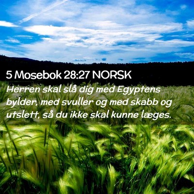 Picture 02 - 5 Mosebok 28:27 NORSK - Herren skal slå dig med Egyptens bylder, med - Bible Verse Picture
