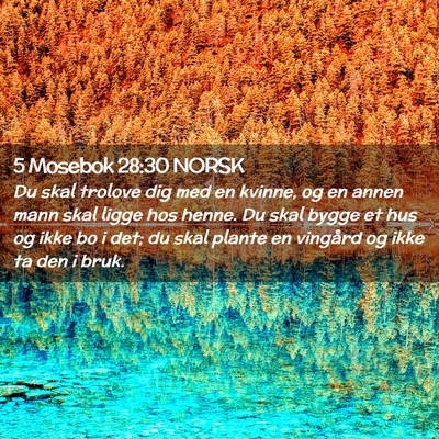 Picture 02 - 5 Mosebok 28:30 NORSK - Du skal trolove dig med en kvinne, og en annen - Bible Verse Picture