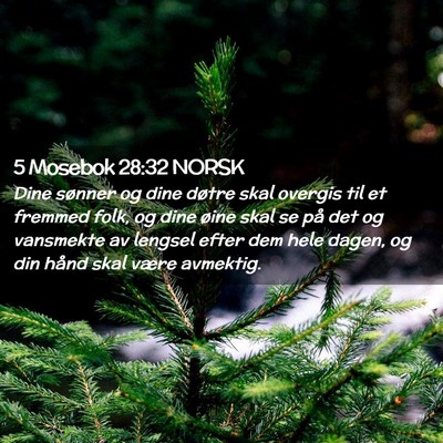 Picture 02 - 5 Mosebok 28:32 NORSK - Dine sønner og dine døtre skal overgis til et - Bible Verse Picture