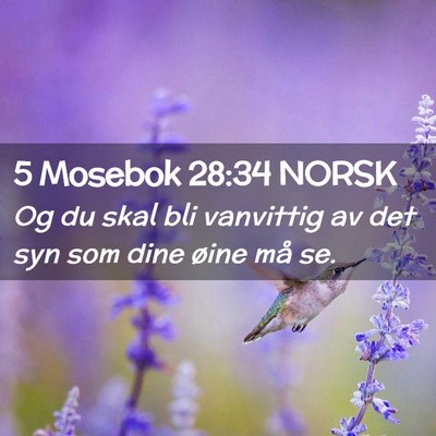 Picture 02 - 5 Mosebok 28:34 NORSK - Og du skal bli vanvittig av det syn som dine - Bible Verse Picture