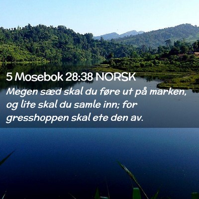 Picture 02 - 5 Mosebok 28:38 NORSK - Megen sæd skal du føre ut på marken, og lite - Bible Verse Picture