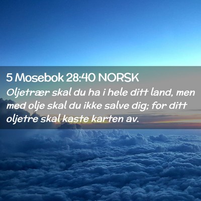 Picture 02 - 5 Mosebok 28:40 NORSK - Oljetrær skal du ha i hele ditt land, men med - Bible Verse Picture