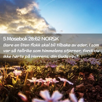 Picture 02 - 5 Mosebok 28:62 NORSK - Bare en liten flokk skal bli tilbake av eder, I - Bible Verse Picture