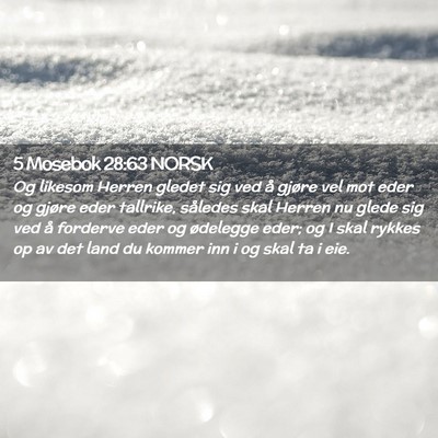 Picture 02 - 5 Mosebok 28:63 NORSK - Og likesom Herren gledet sig ved å gjøre vel - Bible Verse Picture