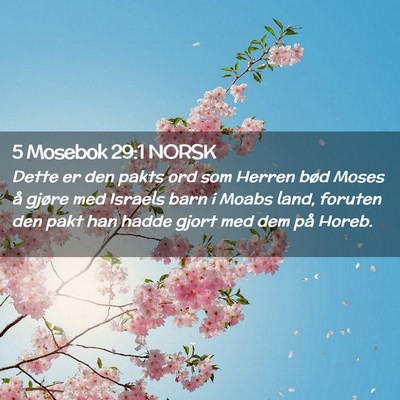 Picture 02 - 5 Mosebok 29:1 NORSK - Dette er den pakts ord som Herren bød Moses å - Bible Verse Picture