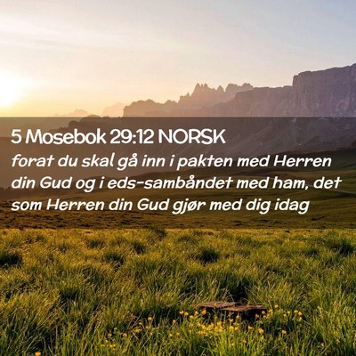 Picture 02 - 5 Mosebok 29:12 NORSK - forat du skal gå inn i pakten med Herren din Gud - Bible Verse Picture