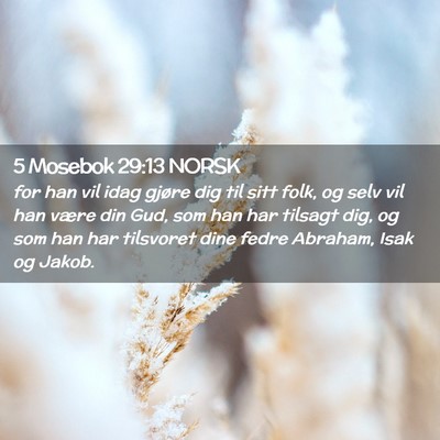 Picture 02 - 5 Mosebok 29:13 NORSK - for han vil idag gjøre dig til sitt folk, og - Bible Verse Picture