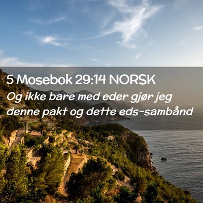 Picture 02 - 5 Mosebok 29:14 NORSK - Og ikke bare med eder gjør jeg denne pakt og - Bible Verse Picture