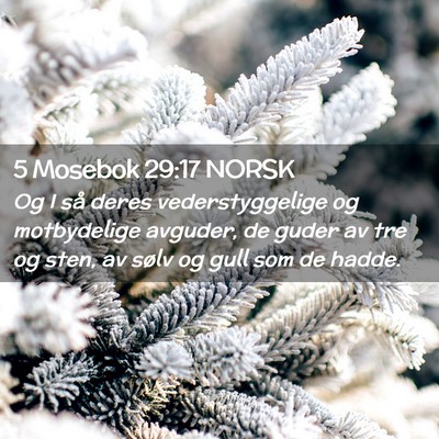 Picture 02 - 5 Mosebok 29:17 NORSK - Og I så deres vederstyggelige og motbydelige - Bible Verse Picture