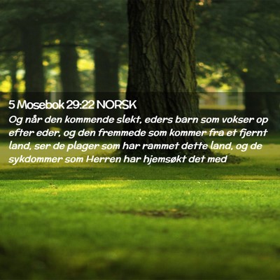 Picture 02 - 5 Mosebok 29:22 NORSK - Og når den kommende slekt, eders barn som vokser - Bible Verse Picture